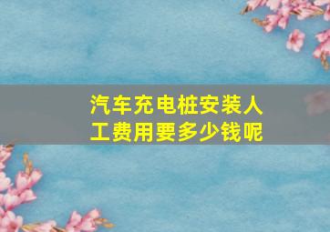 汽车充电桩安装人工费用要多少钱呢