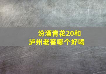 汾酒青花20和泸州老窖哪个好喝