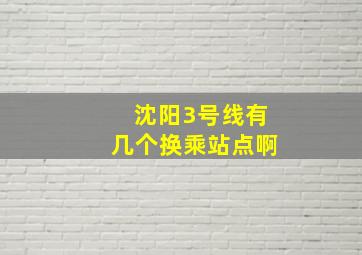 沈阳3号线有几个换乘站点啊