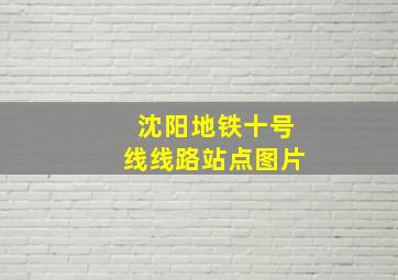 沈阳地铁十号线线路站点图片