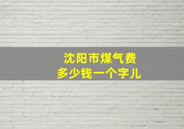 沈阳市煤气费多少钱一个字儿