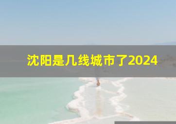 沈阳是几线城市了2024