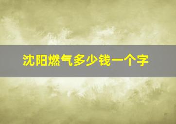 沈阳燃气多少钱一个字