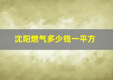 沈阳燃气多少钱一平方