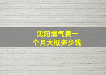 沈阳燃气费一个月大概多少钱