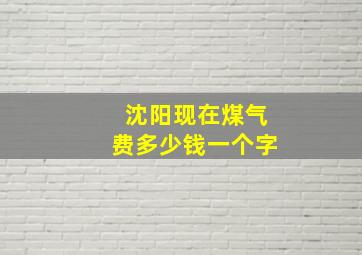 沈阳现在煤气费多少钱一个字