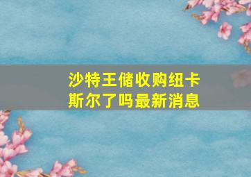 沙特王储收购纽卡斯尔了吗最新消息