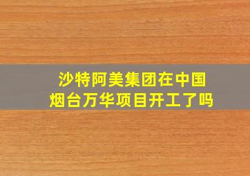 沙特阿美集团在中国烟台万华项目开工了吗