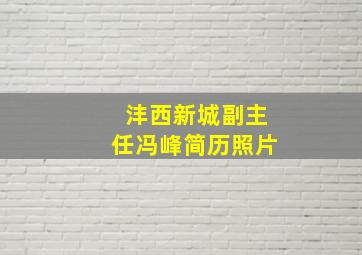 沣西新城副主任冯峰简历照片