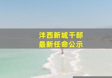 沣西新城干部最新任命公示