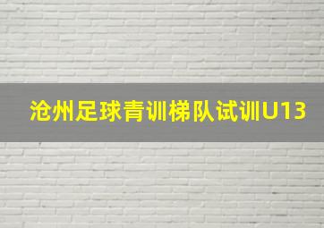 沧州足球青训梯队试训U13