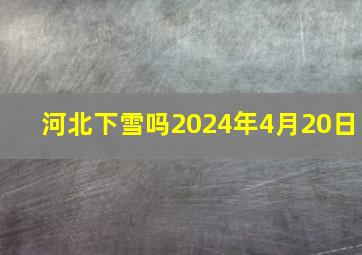 河北下雪吗2024年4月20日