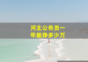 河北公务员一年能挣多少万