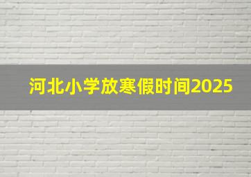 河北小学放寒假时间2025