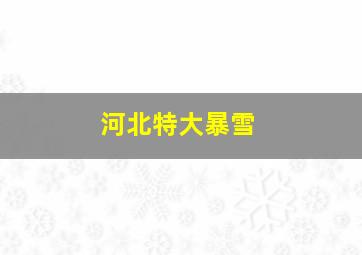 河北特大暴雪