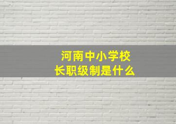 河南中小学校长职级制是什么