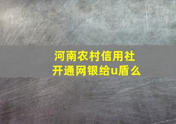 河南农村信用社开通网银给u盾么