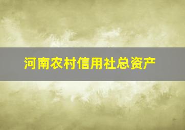 河南农村信用社总资产