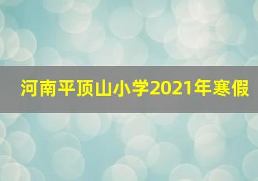 河南平顶山小学2021年寒假