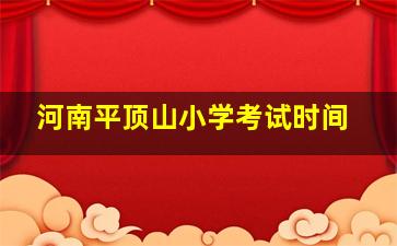 河南平顶山小学考试时间