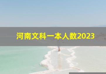 河南文科一本人数2023