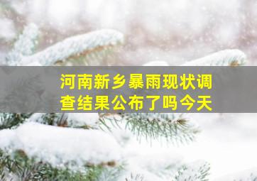 河南新乡暴雨现状调查结果公布了吗今天