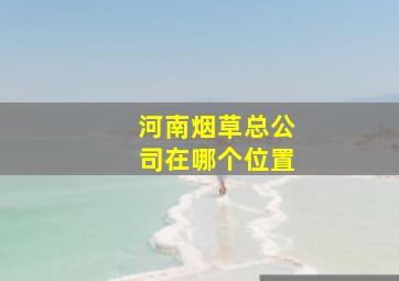 河南烟草总公司在哪个位置