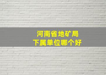 河南省地矿局下属单位哪个好