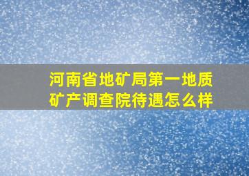 河南省地矿局第一地质矿产调查院待遇怎么样