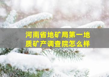 河南省地矿局第一地质矿产调查院怎么样