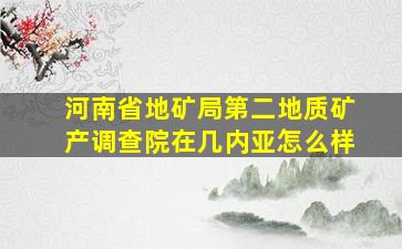 河南省地矿局第二地质矿产调查院在几内亚怎么样