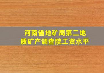 河南省地矿局第二地质矿产调查院工资水平