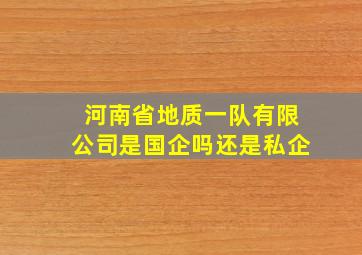 河南省地质一队有限公司是国企吗还是私企