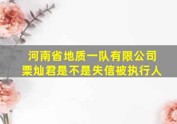 河南省地质一队有限公司栗灿君是不是失信被执行人