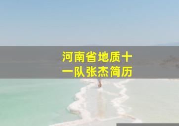 河南省地质十一队张杰简历