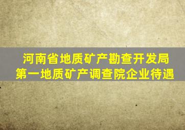 河南省地质矿产勘查开发局第一地质矿产调查院企业待遇