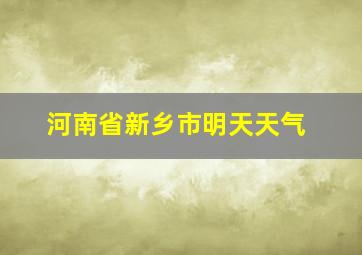 河南省新乡市明天天气