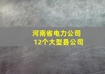 河南省电力公司12个大型县公司