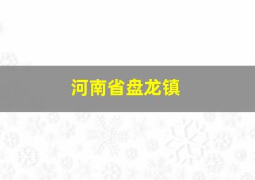 河南省盘龙镇