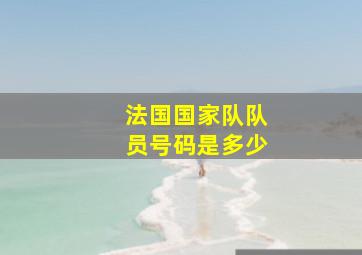 法国国家队队员号码是多少