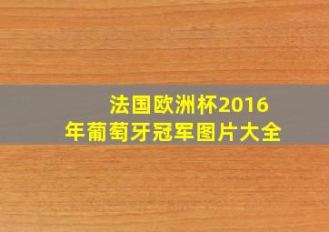 法国欧洲杯2016年葡萄牙冠军图片大全