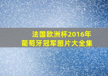 法国欧洲杯2016年葡萄牙冠军图片大全集