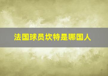 法国球员坎特是哪国人