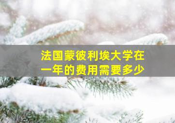 法国蒙彼利埃大学在一年的费用需要多少