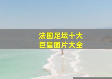 法国足坛十大巨星图片大全