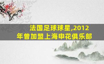 法国足球球星,2012年曾加盟上海申花俱乐部