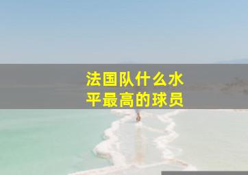 法国队什么水平最高的球员