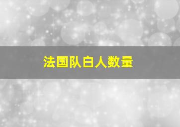 法国队白人数量