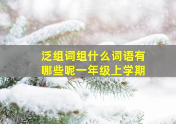 泛组词组什么词语有哪些呢一年级上学期