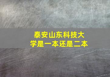 泰安山东科技大学是一本还是二本